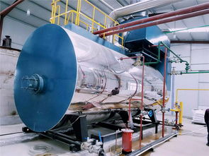 15吨燃气锅炉含氮量 其他仪器仪表 捷配仪器仪表网