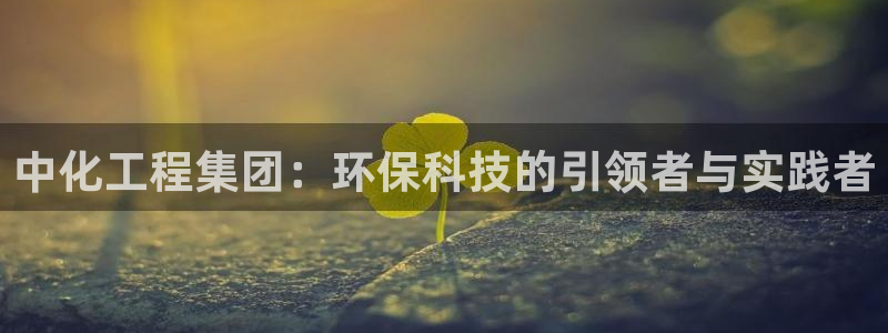 亿万 下载:中化工程集团:环保科技的引领者与实践者